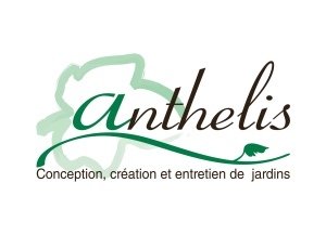 anthelis logo final